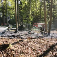 waldbrand_214_2.jpg