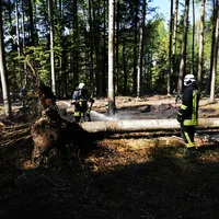 waldbrand_214_3.jpg