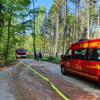 waldbrand_214_4.jpg